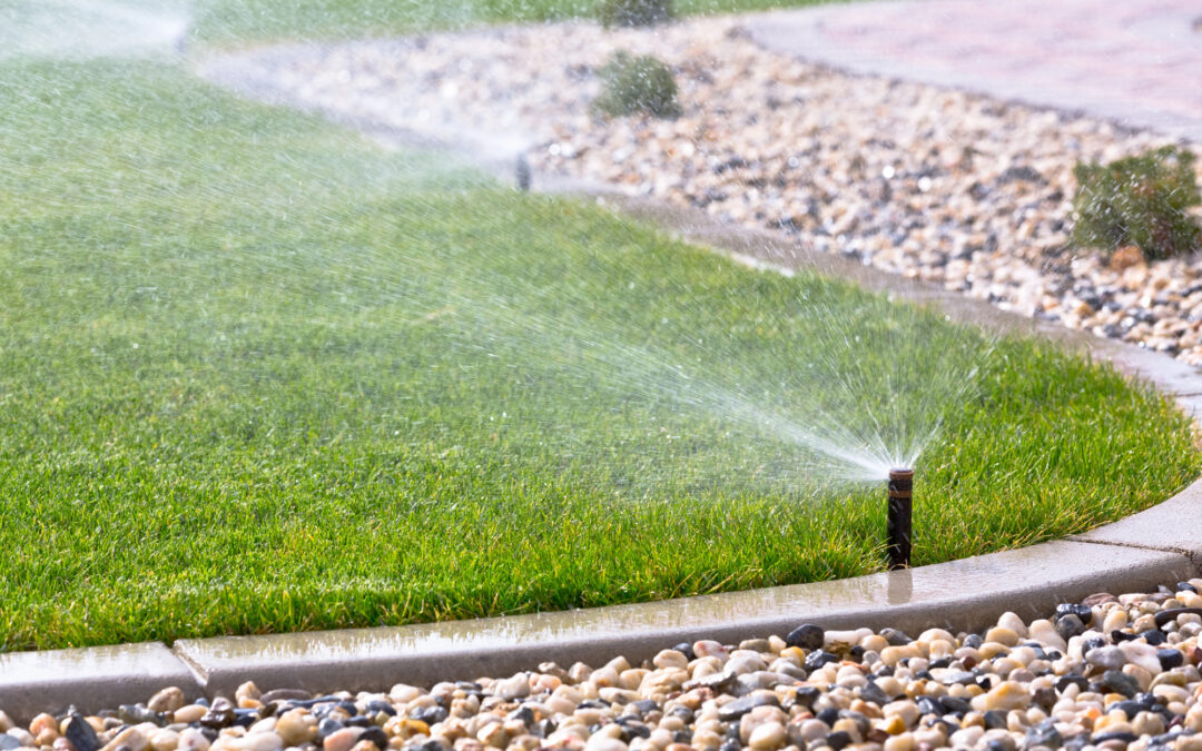 5 Common Summer Plumbing Issues and How to Fix Them